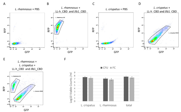 Flow cytometry analysis of L. crispatus 53545 and L. rhamnosus GG strain mixture. Dot plot diagrams flow cytometric analyses relating GFP and RFP intensity of strains or strain mixtures as follows: (A) L. rhamnosus GG PBS control, (B) L. rhamnosus GG incubated with TagRFP-jlb1-CBD, TurboGFP-LL-H-CBD (25µg/mL), and Sytox Blue Live/Dead (C) L. crispatus 53545 PBS control, (D) L. crispatus 53545 incubated with TagRFP-jlb1-CBD, TurboGFP-LL-H-CBD (25µg/mL), and Sytox Blue Live/DeI (E) strain mixture incubated with TagRFP-jlb1-CBD, TurboGFP-LL-H-CBD (25 µg/mL), and Sytox Blue. The panel in (F) shows a comparison of viable counts determined by FC to those of the same samples by plating and CFU counting. Data points represent the mean ± standard deviation from six biological replicates in two independent experiments. A t-test was used to compare viable counts obtained by FC and CFU; ns, nonsignificant (p > 0.05).