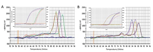 Specific melting point plots of the PCR products using primers for S18, CB1 receptor and CB2 receptor on fibroblasts derived from human fascia (A) and on hip fascial tissue (B). The violet (A) and the green (B) curves are the results about water. On the insets the real time PCR plots with cDNA.