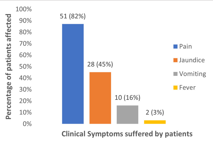 Distribution of the clinical presentation among the patients (n = 62)