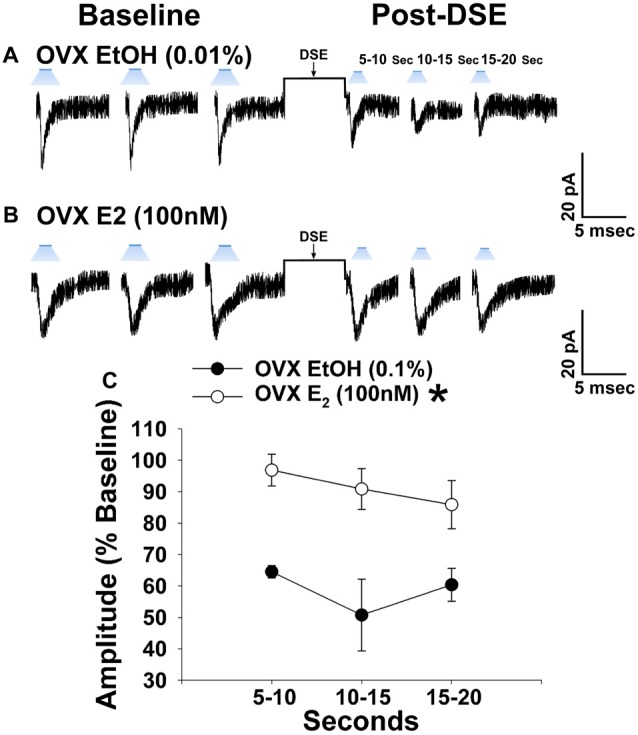 E2 significantly attenuates retrograde EC inhibition of leEPSC amplitude in POMC neurons from ovariectomized NR5A1-cre mice. LeEPSC amplitude is reduced post-DSE in recordings from EtOH-treated slices (0.01%; A; n = 5). However when other slices are treated with E2 (100 nM; n = 7), the degree of reduction is significantly reduced (B). These points are further illustrates by the data shown in the line graph in (C) Bars represent means and vertical lines 1 SEM. *P < 0.05; rank-transformed multifactorial ANOVA/LSD.