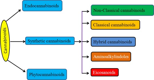 Cannabinoids and their classificationThis figure illustrates how cannabinoids are divided into three main categories according to their availability in nature.