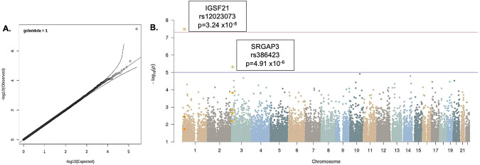 A GWAS Performed in the Combined GOI and CNP Samples Identifies One Locus Associated with BART Performance at the Genome-wide Significance Level.A Q-Q plot of expected vs. observed p-values for the MEGA-GWAS. B Manhattan plot of genome-wide association with risky decision-making as measured by BART performance. Upper line demarcates genome-wide significance. Lower line indicates Bonferroni correction significance threshold.
