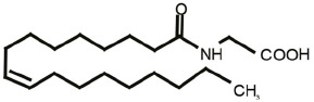 fnsyn-12-588660-t0005.jpg