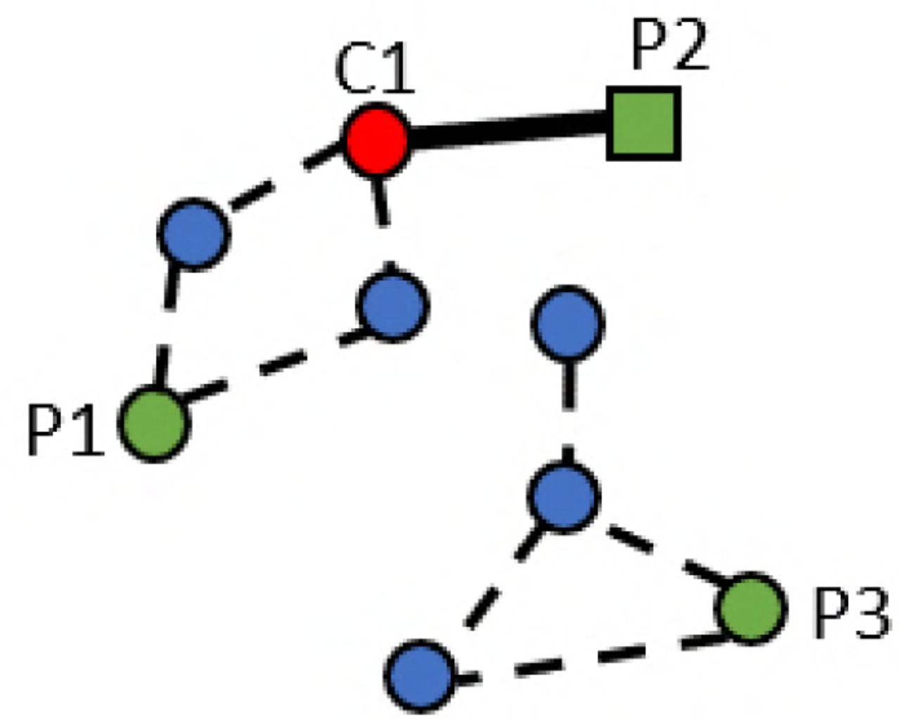 Description of close-proximity interactions (CPIs) and determination of their distances through combined weekly carriage data ans CPI-network plots.Circles and rectangles (nodes) represent patients. The red circle C1 represents a case with an incident - colonization episode. Green circles and rectangle P1, P2, P3 represent transmission candidates, who were colonized with the same strain during the preceding 4 weeks; among them, P1 and P2 represent potential infectors connected to the incident case via edges in the CPI network. Blue circles represent susceptible individuals. Here the closest potential infector is patient P2. The distance is one because no intermediary is present between C1 and P2 (solid black line).