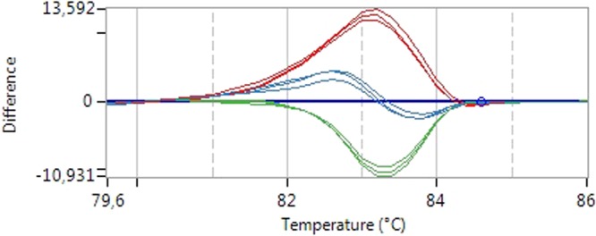 HRM analysis. The figure depicts an example of the HRM analysis of CB1 variants. The melting temperature of the amplicons carrying the different combination of alleles differs between homozygous and heterozygous subjects. In blue the profile of normal homozygous subjects, in red the profile of homozygous variant carriers and in green the profile of heterozygous subjects.