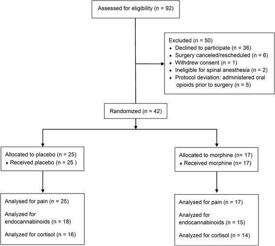 Consolidated Standards Of Reporting Trials flowchart of patient recruitment