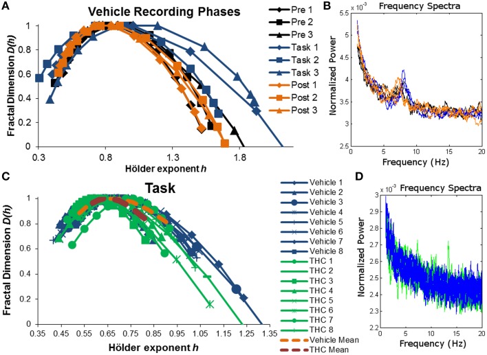 Singularity and frequency spectra of example neurons. Singularity and frequency spectra pairs are shown for two different CA1 neurons. Single neurons were measured across multiple days in various recording phases (pre-task, task, post-task) and drug conditions (vehicle or THC) and each spectrum trace represents the multifractal complexity (A,C) and frequency content (B,D) computed from one recording phase on 1 day. (A) Singularity spectra are shown for each recording phase over three vehicle experiment days (diamonds for day 1, squares for day 2, triangles for day 3). Singularity spectra are wider, thus multifractal complexity is greater, during the task compared to either resting state recording phases. (B) Frequency spectra are shown for the same neuron recorded during the same 3 days as in (A) and color coded to match the legend in (A). This neuron exhibits both delta (0.5–4 Hz) and theta (4–8 Hz) frequency activity during all recording phases on all days. (C) Singularity spectra computed from the DNMS task are compared between vehicle and THC conditions for one example neuron recorded over 16 total days. Individual session singularity spectra are plotted in thin blue lines for vehicle and green lines for THC sessions. The average singularity spectra for this neuron is plotted as a dashed orange line for vehicle and as a dashed red line for THC. (D) Frequency spectra are shown for the same neuron recorded during the same 16 days as in (C) and color coded to match the legend in (C). Only spectra from individual neurons were plotted. This neuron exhibits delta rhythm only.
