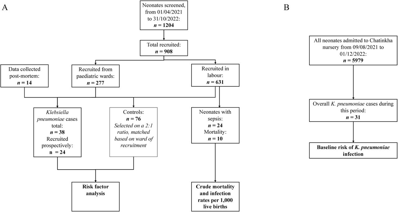 A flow chart detailing patient recruitment and the sources of data for the case-control risk factor analysis and calculation of the crude mortality and infection rates per 1,000 live births. B) A flow chart detailing the sources of data used to calculate the baseline risk of Kpn infection.