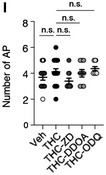 Figure 5I. Original.