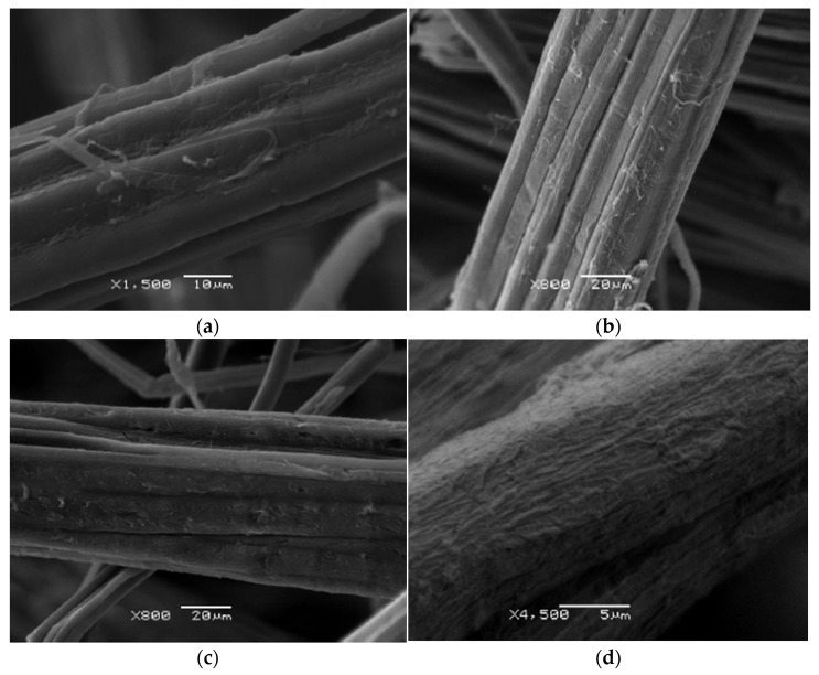 Hemp sample surfaces: (a) control, (b) M2, (c) M3, and (d) M4.
