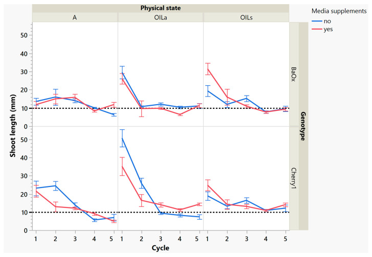 Length of a harvested shoot from RV750 vessels per genotype over five repeated cycle harvests based on physical state agar (A), agitated Oasis® infused with liquid (OILa) stationary Oasis® infused with liquid (OILs). Media supplement of 15 mL indicated by red (yes) and blue (no treatment added). The desired harvest length of 10 mm is shown with a dotted reference line.