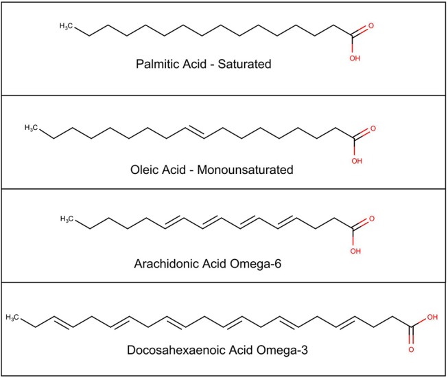 Chemical structure of selected fatty acids.