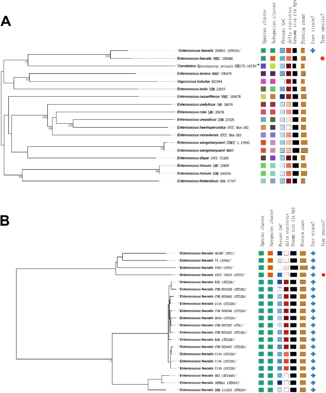 Species and subspecies delineation based on dDDH thresholds.Phylogenetic trees were inferred using FastME 2.1.6.1 from GBDP distances calculated from genome sequences. Branch lengths are scaled according to the GBDP distance formula d5. The numbers above branches represent GBDP pseudo-bootstrap support values > 60% from 100 replications. The trees were midpoint-rooted. The taxonomic classifications at the species and subspecies levels are represented by color codes on the right side of each tree, based on the dDDH values obtained and the established thresholds (≥70% dDDH for species and ≥79% dDDH for subspecies) (A) Whole-genome sequence-based phylogeny of Enterococcus faecalis 209EA1 (representative strain of the genetically related group of E. faecalis lacking CRISPR2) and its closest related type-strains, as determined by TYGS by default. (B) Phylogeny focused exclusively on query genomes, encompassing all 16 E. faecalis strains lacking CRISPR2 along with E. faecalis reference strains, including the type strain ATCC 19433. Sequence types (STs) of each strain are shown in parentheses.*Type strain of a proposed species with nomenclatural status not yet validly published.