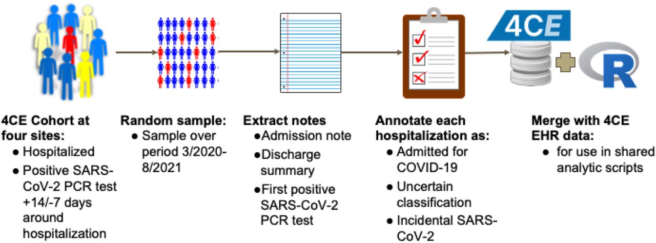 The chart-review process. At each site, an equal number of patients admitted with a positive SARS-CoV-2 PCR test were sampled by quarter or by month. A chart reviewer at the site examined primarily the admission note, discharge summary (or death note), and laboratory values for the hospitalization to classify as admitted for COVID-19, incidental SARS-CoV2, or uncertain. These classifications were then merged with 4CE EHR data for use with shared analytic scripts in R.