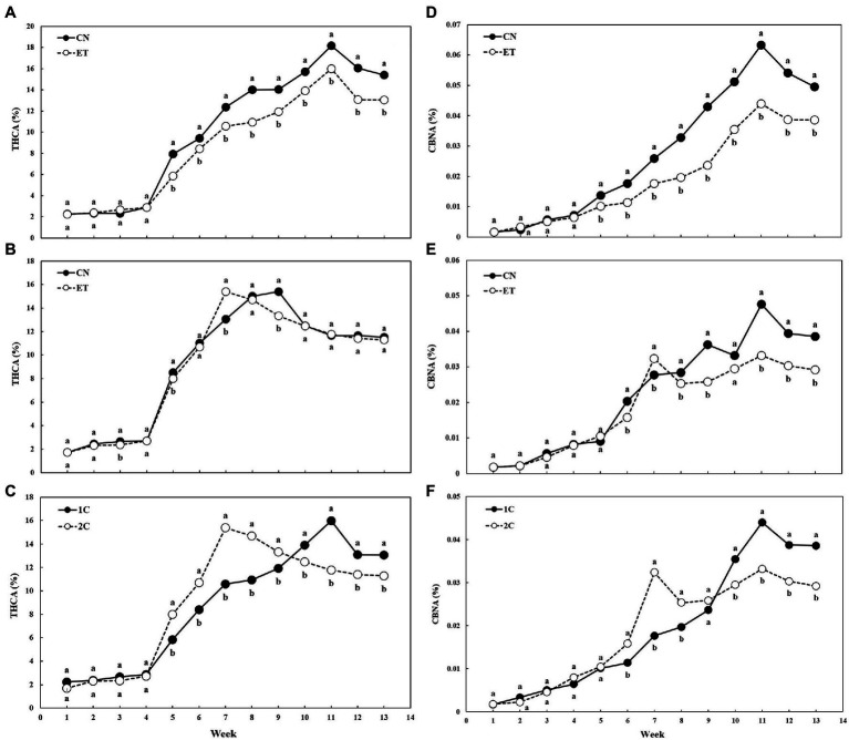 Concentrations of tetrahydrocannabinolic acid (THCA) and cannabinolic acid (CBNA) in the flowers of medical cannabis plants as affected by amino acid (AA) supplementation and nutrient cycle. THCA concentration in control (CN) and enhanced treatment (ET) plants with AAs nutritional supplements in recirculation (1C) growing cycle (A), in drain-to-waste (2C) growing cycle (B), ETs in 1C and 2C (C). CBNA concentration of control (CN) and enhanced treatment (ET) with AAs nutritional supplements in recirculation (1C) growing cycle (D), in drain-to-waste (2C) growing cycle (E), ETs in 1C and 2C (F). The whole inflorescence of the plant was analyzed. Data are means ± SE (n = 3). Different bold small letters represent significant differences in cannabinoid concentration between the variants in a particular week according to Tukey’s HSD test at α = 0.05.