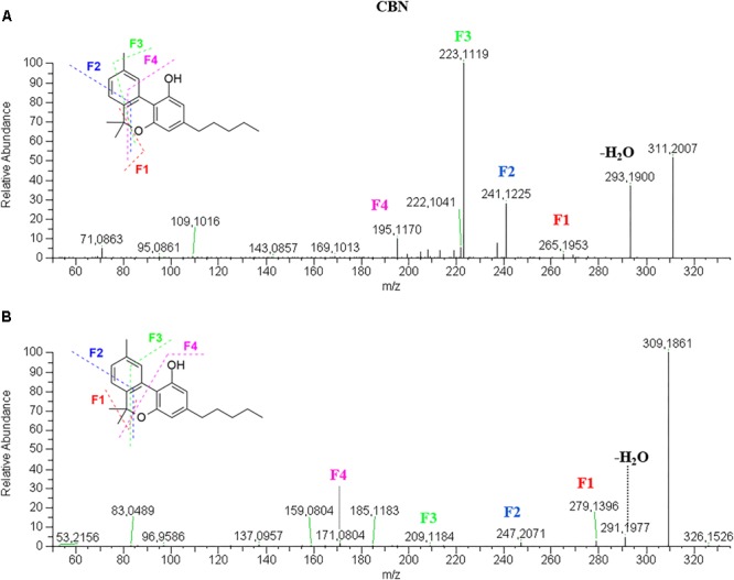 HRMS fragmentation spectrum of cannabinol (CBN) in positive (A) and negative (B) ionization mode.
