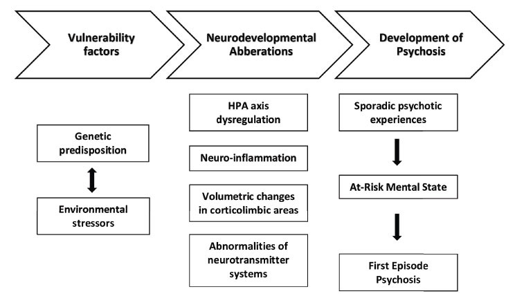 Stress-diathesis conceptualization of psychosis development.