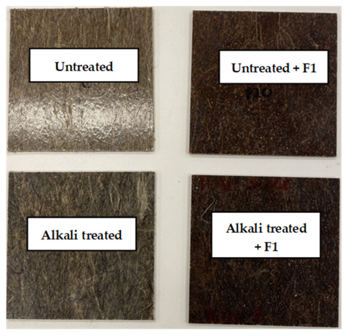 Some batches of the fabricated biocomposites showing the color changes induced by the alkali treatment and F1 coating.