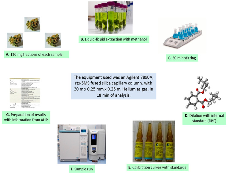 Experimental analysis for the quantification of cannabinoids in dried cannabis inflorescences obtained from cultivars in four regions of Peru.