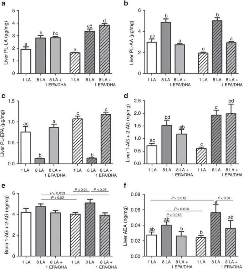 Selective elevation of dietary LA elevates AA precursors and endocannabinoids in mice fed medium-fat diets (open bars) and high-fat diets (coarse bars). Dietary LA at 1 en% is indicated by white bars, 8 en% LA by dark gray bars, and 8 en% LA + 1 en% EPA/DHA by light gray bars. Dietary LA (8 en%) elevates (a) liver LA in phospholipids (PL) (µg/mg) and (b) liver PL-AA (µg/mg). Compared to 8 en% LA, diets of 1 en% dietary LA allows endogenous accretion of (c) liver PL–EPA (µg/mg), levels equal to consuming 1 en% EPA/DHA directly. Increasing dietary LA from 1 en% to 8 en% elevates (d) liver 1-AG + 2-AG (ng/mg) (by over fourfold), (e) brain 1-AG + 2-AG (ng/mg), and (f) liver AEA (ng/ml). The addition of 1 en% EPA/DHA reduces the endocannabinoid precursor pool and tissue concentrations of 2-AG and AEA. a,b,c,dDiffering letters indicate P < 0.01 and lines by specified values by Mann–Whitney testing. Lines indicate differences at P values shown. n = 9–10. 2-AG, 2-arachidonoylglycerol; AA,arachidonic acid; AEA, anandamide; DHA, docosahexaenoic acid; EPA, eicosapentaenoic acid; LA,linoleic acid.
