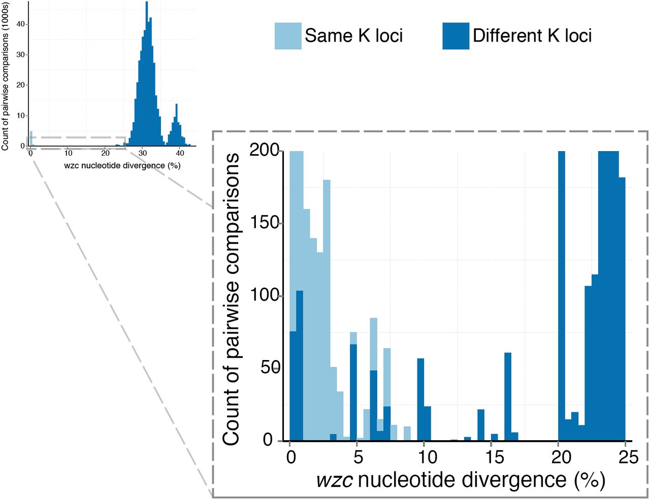 wzc nucleotide diversityBarplots showing distribution of pairwise wzc nucleotide divergence for pairs of genomes with the same (light blue) or different (dark blue) K loci. The inset box shows a zoomed view of the lower end of the distribution.
