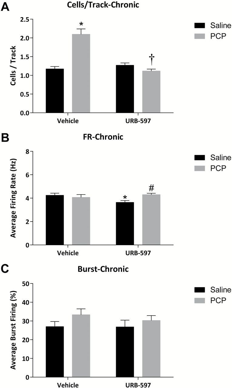 Chronic URB-597 reverses aberrant dopamine neuron activity in the PCP-treated rat. (A) PCP-treated rats display increases in dopamine neuron population activity, which are reversed by the chronic administration of URB-597. Small but significant alterations in the average firing rate were observed (B), with no effect on the average percent burst firing (C). *significant difference from vehicle-treated saline rats; †significant difference from vehicle-treated PCP rats; and #significant difference from URB-597–treated saline rats (two-way ANOVA).