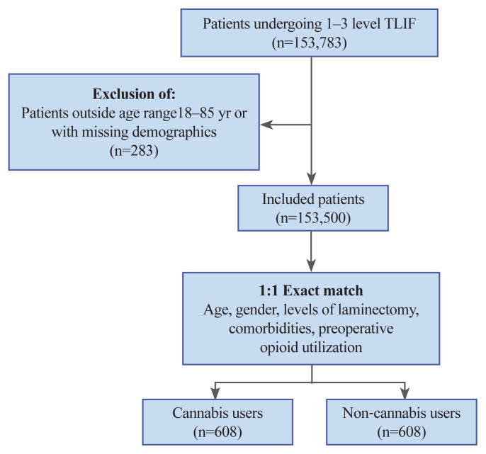 Patient selection procedure. TLIF, transforaminal lumbar interbody fusion.