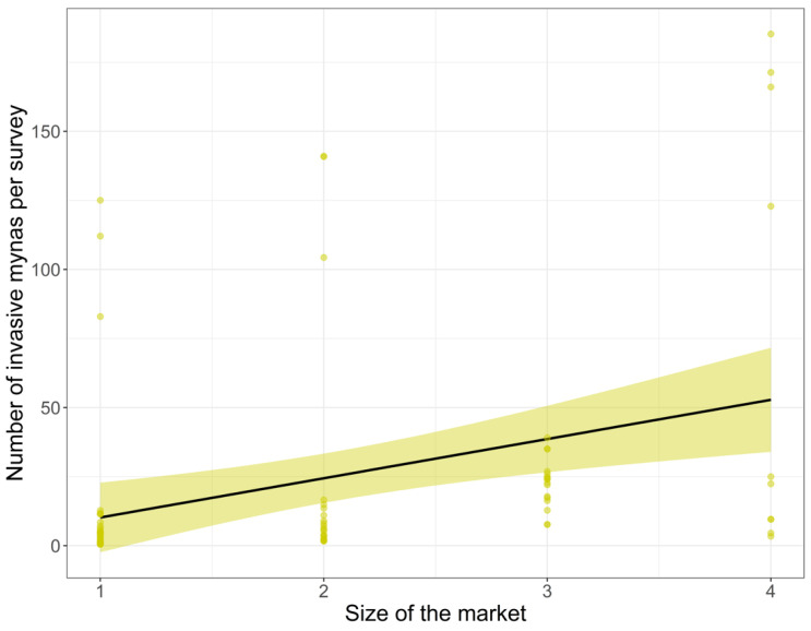 Significant results of the generalised linear model with the mean number of invasive non-native mynas offered for sale in 30 animal markets in Indonesia as response variable. Values are model predicted values, lines are model fit lines, shaded areas are 95% CI. Surveys were done between August 2016 and February 2021 (with surveys at least a month apart).
