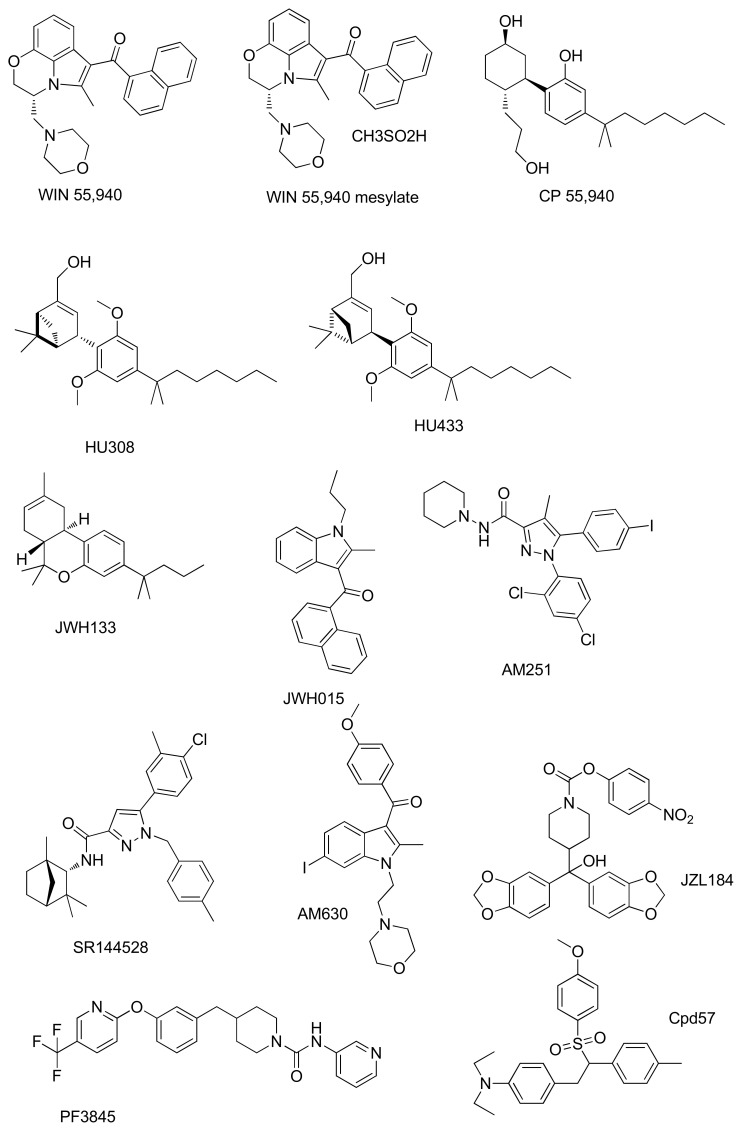 Structures of ECS synthetic modulators studied in bone diseases.