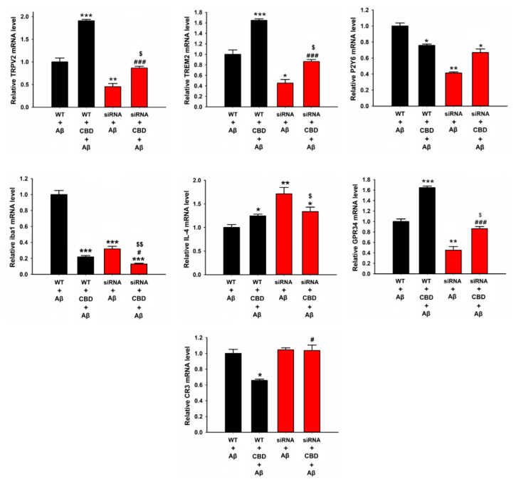 Relative mRNA levels of microglial phagocytic receptors and inflammation factors in microglia cells after knockdown of TRPV2. BV2 microglia were treated with or without CBD (5 μM) after 12 h, and mRNA levels were determined by qPCR. The data are represented as the mean ± SEM (n = 4). * p < 0.05, ** p < 0.01, and *** p < 0.001 are compared with wild type treated with Aβ by Tukey’s test; # p < 0.05 and ### p < 0.001 mean CBD + Aβ with or without siRNA by Student’s t-test. $ p < 0.05 and $$ p < 0.01 mean CBD knockdown of TRPV2 with or without CBD by Student’s t-test.