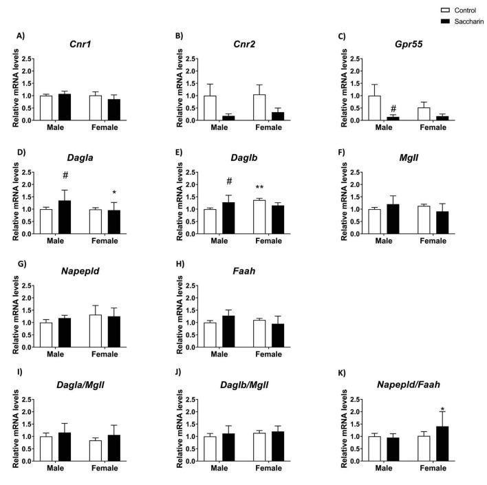 Figure contains eleven bar graphs labeled A to K showing relative mRNA levels of genes Cnr1, Cnr2, Gpr55, Dagla, Daglb, Mgll, Napepld, Faah, Dagla/Mgll, Daglb/Mgll, and Napepld/Faah in male and female mice, comparing control (white bars) and saccharin (black bars) groups. Significant differences are marked with symbols (#, *, or **) above specific bars. Error bars indicate variability.