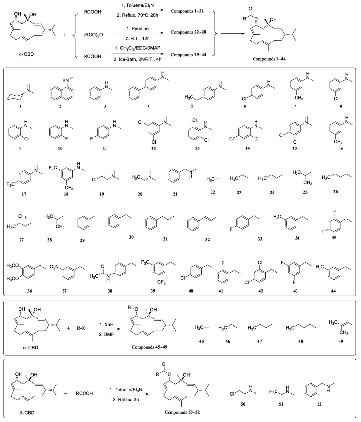 Synthesis of the 4-O-ester derivatives of α-CBD (1–44), β-CBD (50–52), and 4-O-ether derivatives of α-CBD (45–49).