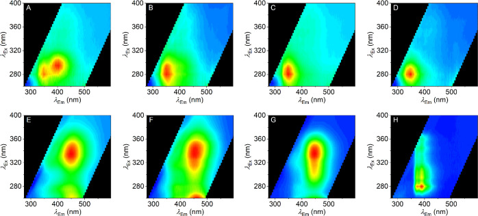 (A–D) FSFs for methanone-linked series of SCRA analogues 1a–d (A = 1a, B = 1b, C = 1c, and D = 1d), collected prior to sample irradiation. (E–H) FSFs for ethanone-linked series of SCRA analogues 2a–d (E = 2a, F = 2b, G = 2c, and H = 2d), collected prior to sample irradiation. Red coloration represents emission with a relative intensity of 1, and blue represents an intensity of 0. Conditions: 0.01 mg/mL in methanol, 20 °C, and 1 cm path length.