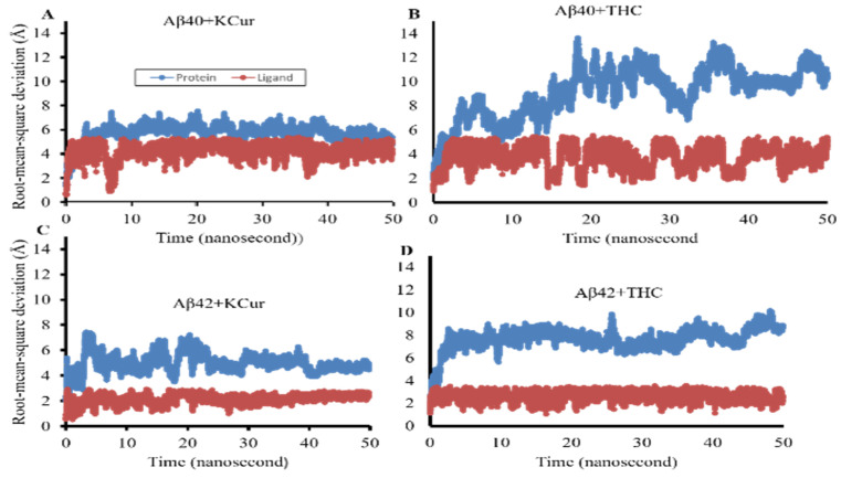 RMSD and RMSF values after interaction of Aβ40 and Aβ42 with KCur and THC. Docking analysis was carried out and the results were investigated using PyRx/AutoDock Vina software and RMSD and RMSF values were with Discovery Studio Visualizer. (A–D): RMSD values of KCur and THC when interacted with Aβ40 and Aβ42. (E–H): RMSF values of KCur and THC when interacted with Aβ40 and Aβ42. These findings indicate that KCur has stable complexes with both Aβ40 and 42, while THC can only form stable complexes with Aβ42. RMSD and RMSF are shown for the first 50 ns of the simulations.