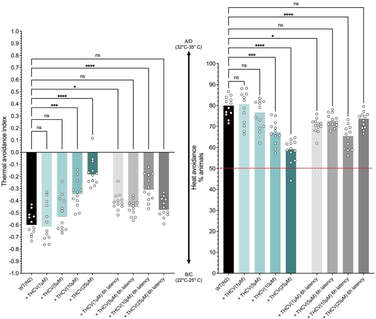 Assessment of THCV’s pharmacological effect on thermal avoidance behavior in C. elegans. Nematodes were treated with THCV for 60 minutes prior to behavioral testing. Data represent individual values alongside medians, based on at least 12 independent experiments per group. THCV exhibits dose-dependent activity, notably reducing thermal avoidance responses in C. elegans. Significant residual antinociceptive effects persist up to 6 hours after exposure. ****p < 0.0001, *** p < 0.001, ** p < 0,01, * p < 0.05 (non-parametric Kruskal-Wallis analysis followed by Dunn’s multiple comparisons test).