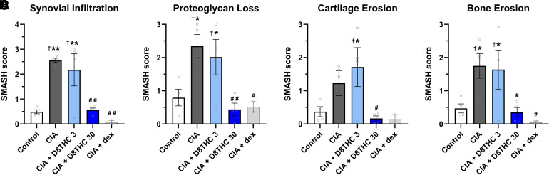 Δ8-THC prevents CIA-induced joint damage and inflammation. Quantitative analyses were performed on feet collected from mice at the end of the experiment. Δ8-THC blocked CIA-induced increases in (A) synovial inflammation, (B) proteoglycan loss, (C) cartilage erosion, and (D) bone erosion. Data are expressed as mean ± S.E.M. (n = 4). *-**P < 0.05–0.005 versus (non-CIA) control, #-##P < 0.05–0.005 versus CIA, †P < 0.05 versus DEX.