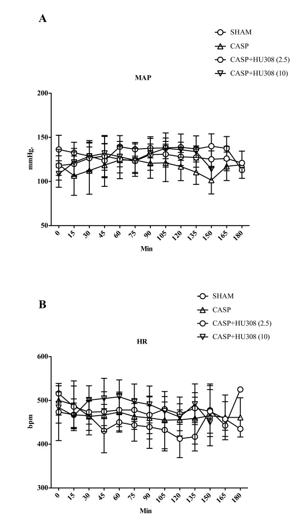 Colon ascendens stent peritonitis-induced sepsis - mean arterial pressure and heart rate. (A) Mean arterial pressure (MAP; mmHg) and (B) heart rate (HR; bpm): SHAM, control group (n = 9); colon ascendens stent peritonitis (CASP), sepsis group (n = 9); CASP + HU308 (2.5/10 mg/kg), sepsis plus cannabinoid receptor 2 agonist (2.5 or 10 mg/kg HU308; n = 9). Data presented as mean ± standard deviation.