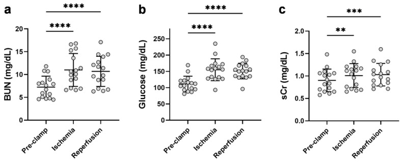 Effect of renal ischemia and reperfusion during partial nephrectomy on the circulating kidney dysfunction markers, (a) BUN, (b) glucose, and (c) sCr. BUN = blood urea nitrogen; sCr = serum creatinine. **** p < 0.0001; *** p < 0.001; ** p < 0.01.