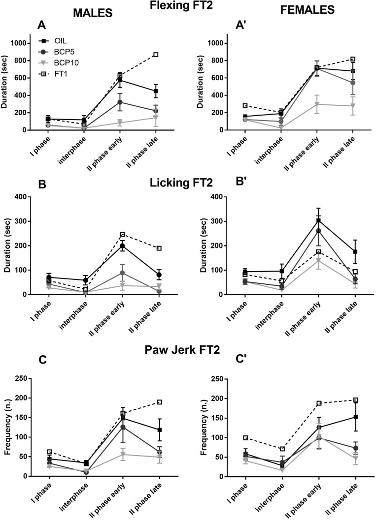 Formalin test 2 (FT2) in olive oil (OIL), β-caryophyllene 5 mg/kg (BCP5), and BCP 10 mg/kg (BCP10) male (left) and female (right) groups (dashed line: FT1 values for comparisons). (A,A′) Flexing duration was higher in females than in males during the I and II phases (both early and late: p < 0.007, p < 0.001, and p < 0.007, respectively). BCP5 decreased the flexing duration only in the I phase and interphase (p < 0.02 and p < 0.01, respectively), whereas BCP10 reduced it in all four phases (p < 0.02 for the I phase and p < 0.001 for the other phases). (B,B′) The licking duration was higher in females than in males only in the II phase early and late (p < 0.001 and p < 0.01, respectively). BCP5 decreased the licking duration in all phases, except the II phase early (p < 0.01, p < 0.001, and p < 0.001, respectively), whereas BCP10 reduced the licking duration in all four phases (p < 0.003 for the I phase and p < 0.001 for the other phases). (C,C′) The paw jerk frequency was higher in males than in females in the I phase (p > 0.05) and lower in BCP5 and BCP10 than in OIL in the II phase late (p < 0.001 for both). Values are the mean ± SEM.