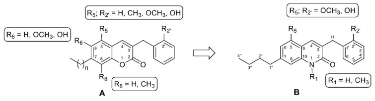 Structural modifications providing the novel series of 3-benzylquinolin-2(1H)-ones (B) from 3-benzylcoumarins (A).