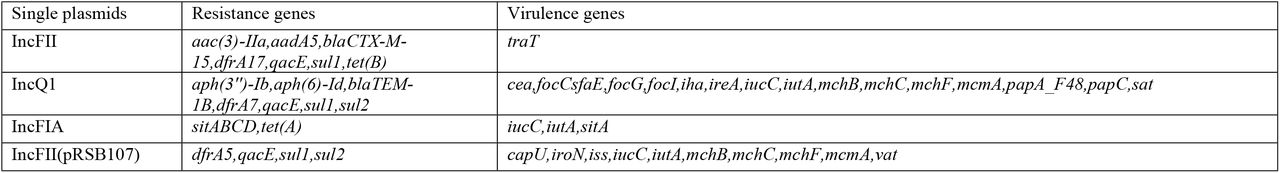 Single plasmids mediating both resistance and virulence genes