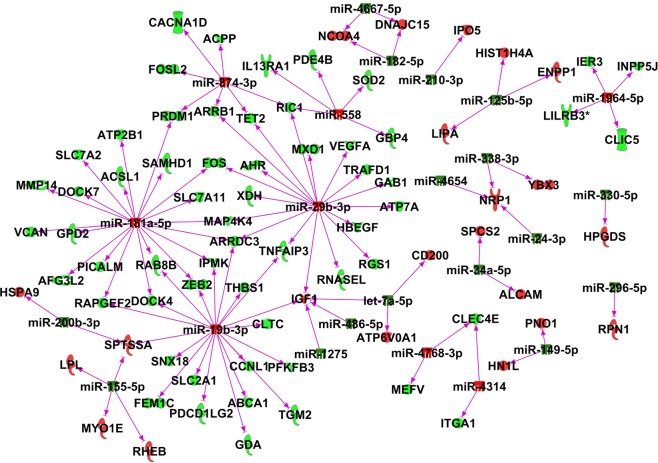 Expression pairing of differentially expressed genes and miRNAs in splenic CD4+ T cells in CBD treated EAE mice. Genes and miRNAs whose expression was significantly altered in MOG-induced EAE mice compared to naïve mice were used for expression pairing b IPA analysis (QIAGEN Inc., https://www.qiagenbioinformatics.com/products/ingenuitypathway-analysis). Those induced by CBD treatment in EAE mice are shown red and those suppressed by CBD are shown green.