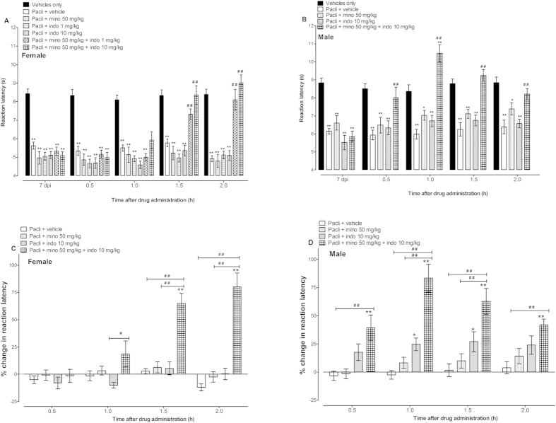 Effects of minocycline and indomethacin alone or in combination on paclitaxel-induced thermal hyperalgesia in female and male BALB/c mice. Reaction latency times of (A) female mice and (B) male mice (taken at day 7 post first administration of paclitaxel [pacli]) at different times after treatment with minocycline (mino, 50 mg/kg), indomethacin (indo, 1 or 10 mg/kg) alone or in combination in the hot plate test (n = 8 for female mice and n = 10-11 for male mice). *p < 0.05 and **p < 0.01 compared to vehicle only group (without hyperalgesia) at the same time point after treatment and ##p < 0.01 compared to mice with paclitaxel-induced hyperalgesia treated with vehicle. Percentage change in reaction latency times from baseline values (taken at day 7 post first administration of paclitaxel) of (C) female mice and (D) male mice after treatment with minocycline, indomethacin alone or in combination in the hot plate test. *p < 0.05 and **p < 0.01 compared to paclitaxel + vehicle-treated group at the same time point after treatment and ##p < 0.01 between mice treated with minocycline or indomethacin alone and those treated with minocycline + indomethacin.