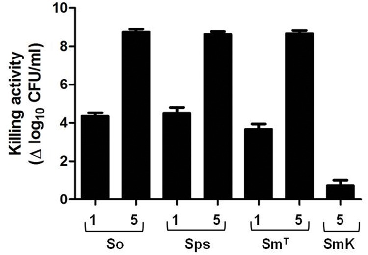 Bactericidal activity of PL3 against non-pneumococcal species. The assay was performed as described in Figure 5. Numbers on x-axis indicate the concentration of PL3, in μg/ml. So, S. oralis; Sps, S. pseudopneumoniae; SmT, S. mitis type strain; SmK, S. mitis SK598 strain. Error bars represent standard deviations and differences in activity values are statistically significant (P < 0.05).