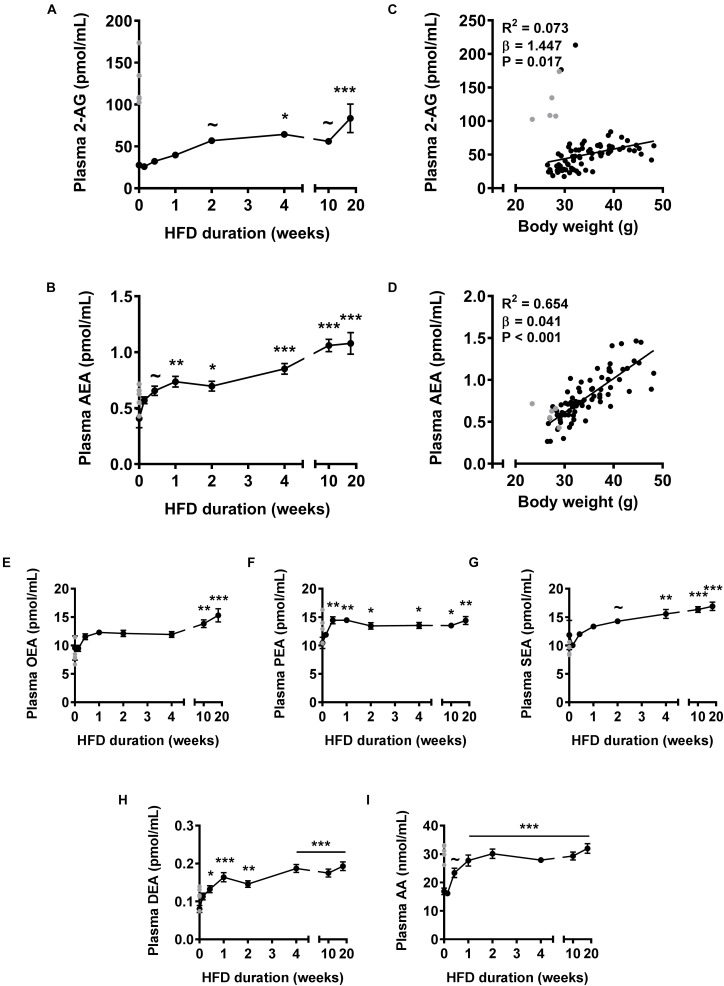 High fat diet feeding time-dependently increases plasma levels of 2-AG and AEA in mice. Liquid chromatography coupled with tandem mass spectrometry (LC-MS/MS) was used to determine plasma levels of 2-AG (A), AEA (B), OEA (E), PEA (F), SEA (G), DEA (H), and AA (I). Data are mean ± SEM (n = 10–11). Error bars were too small to be visible for several data points (in A,E–G,I). ∼P < 0.1, ∗P < 0.05, ∗∗P < 0.01, ∗∗∗P < 0.001 compared to the control (0 week of HFD) group analyzed by one-way ANOVA with Dunnett’s post hoc test. In addition, linear regression analysis was performed on correlations between body weight and plasma levels of 2-AG (C) or AEA (D), for all samples depicted in black (n = 81). Samples depicted in gray were regarded as biological outliers based on 2-AG and AA levels and therefore excluded from plasma data analyses.