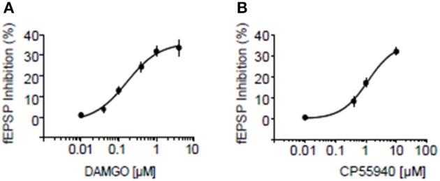 Dose response curves for inhibition by MOR and CB1R agonists at excitatory NAcC synapses. Dose response curve for the MOR agonist DAMGO (A) and for the CB1R agonist CP55940 (B) in rats. Error bars represent S.E.M. N = 3–5 per doses.