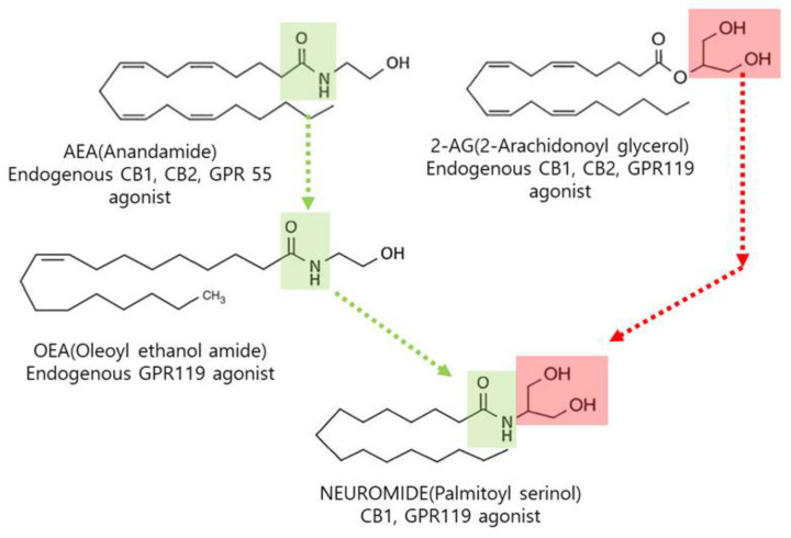 Structures of common endocannabinoids and N-palmitoyl serinol (NEUROMIDE).