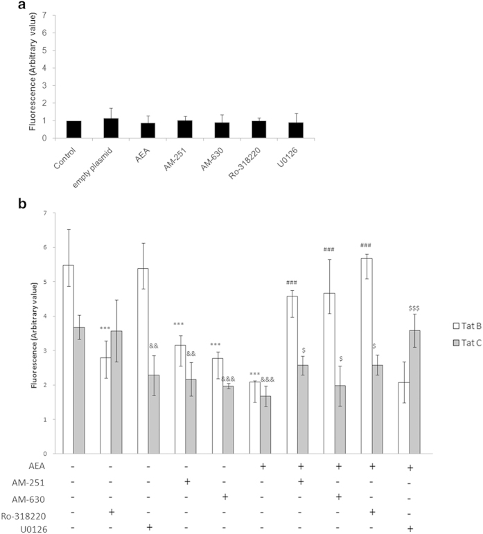Tat-induced adhesion of PBMC to Müller cells is inhibited by AEA. Tat B or Tat C induced PBMC adhesion to Müller cell line MIO-M1. Antagonists U0126, Ro- 318220, AM-251 and AM-630 alleviated PBMC adhesion, but not to the extent of AEA. CB blockers reversed the effect of AEA and increased PBMC adhesion. MKP-1 inhibition has a striking effect on Tat B + AEA cells but nominally affects Tat C + AEA cells compared to either Tat B + AEA or Tat C + AEA. MEK-1 inhibition affects adhesion to a significant extent only in Tat C + AEA cells, but not Tat B + AEA. MIO-M1 cells were transfected with Tat B or Tat C and then treated with AEA. MEK-1 or MKP-1 blocker (U0126 and Ro-318220, respectively), CB blockers (AM-251 or AM-630) were used simultaneously for 24 hours, wherever used (b). Adherent cells were expressed as arbitrary values. Transfection with empty plasmid or AEA and blockers to CB receptors, MEK-1, and MKP-1 alone do not induce PBMC adhesion to MIO-M1 (a). Results are expressed as mean ± S.E (n = 3). ***p < 0.001 vs Tat B, &&p < 0.01, &&&p < 0.001 vs Tat C, ###p < 0.001 vs Tat B + AEA, $p < 0.05, $$$p < 0.001 vs Tat C + AEA.