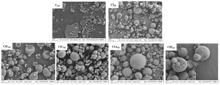 Representative SEM images of the prepared CBD dry powder formulations for CBD alone (CSD), CBD with INU (CISD), CBD with INU and LYS (CILSD), CBD with INU and CYS (CICSD), CBD with INU and ARG (CIASD), and CBD with INU and PHY (CIPSD).