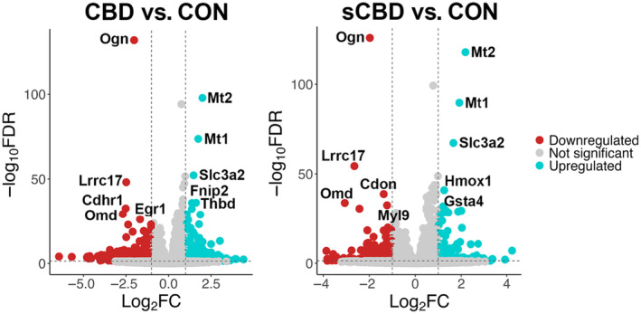 Volcano plot illustrating the relationship between −log10FDR step‐up and log2 fold‐change for DEGs. Gray data points represent genes that are not statistically significant (−log10FDR step up (<0.05) and log2FC > −1.1), whilst blue data points are significantly up regulated and red data points are significantly downregulated. Top 5 up and downregulated DEGs are labeled for comparison.